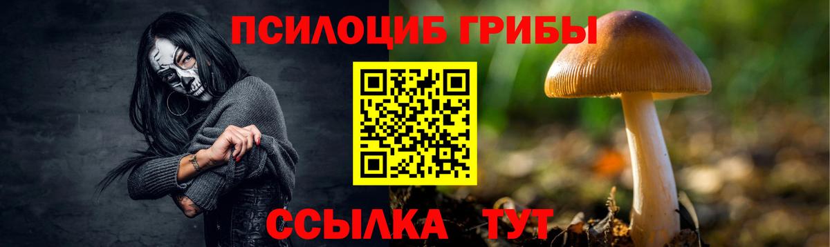Вологда  Псилоцибиновые грибы ЛСД  Вход с VPN  Галлюциногенные грибы GOLDEN TEACHER 